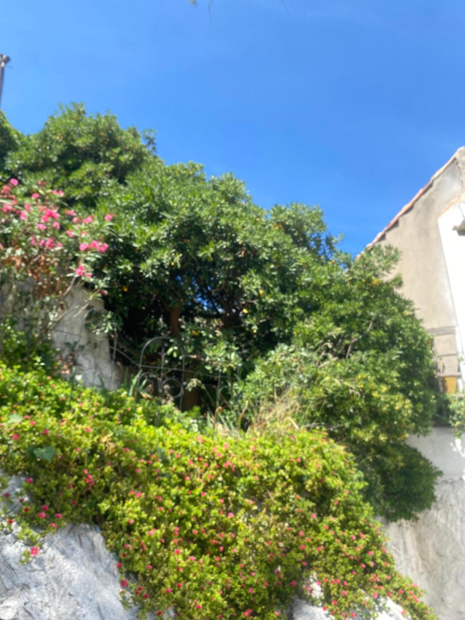 La Flibuste des Goudes: Calanques Seaside Retreat with Gardens Villa Marseille Exterior photo